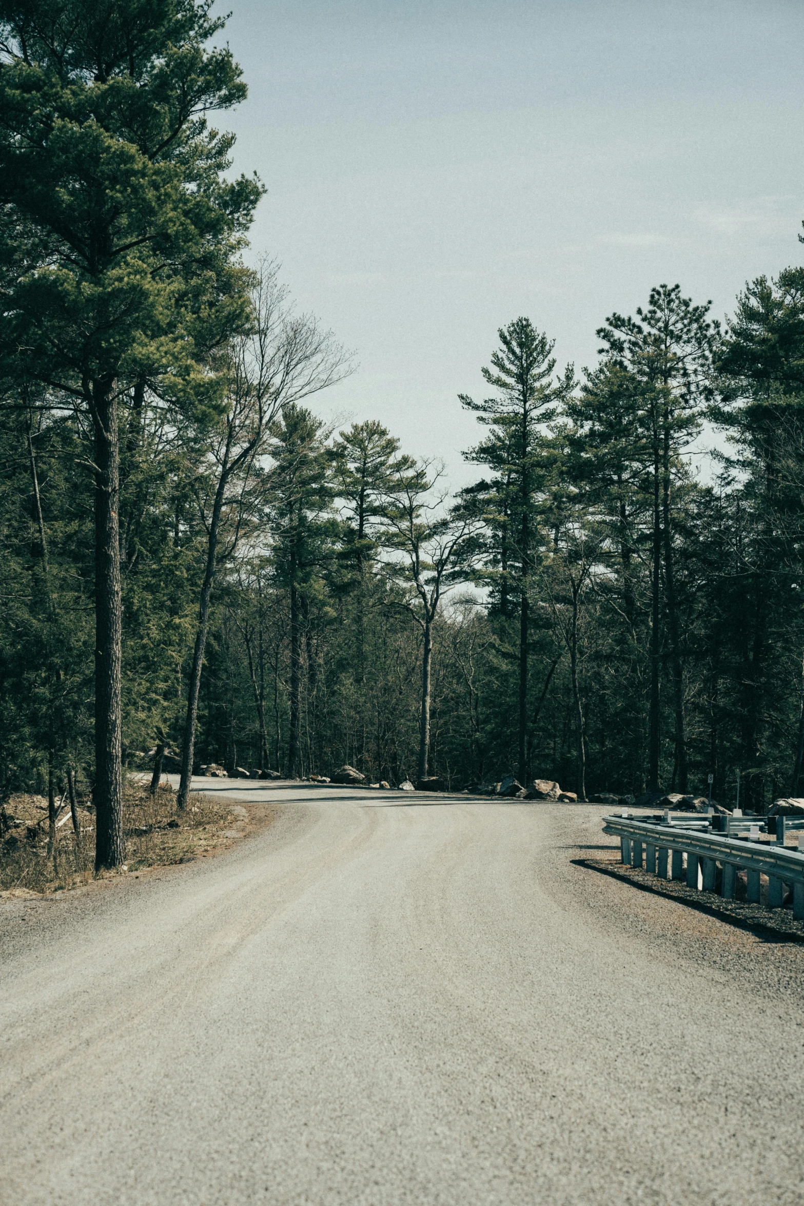 a dirt road that has benches on the side of it