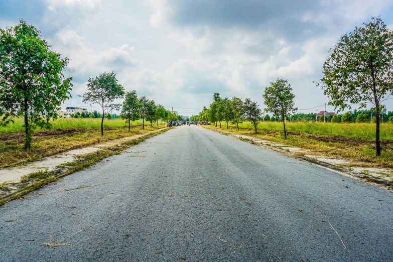 a wide open road with trees and grass