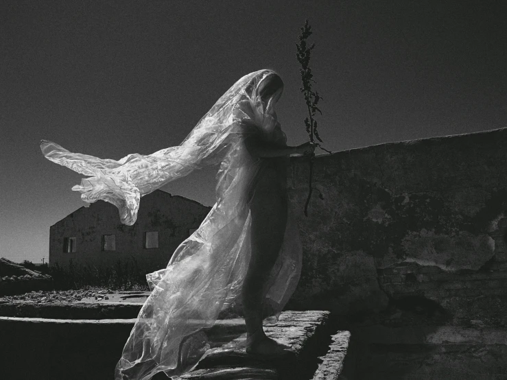 the ghost is wearing a veil by a body of water