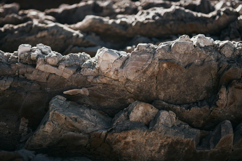 a rocky, patchy area with rocks and boulders