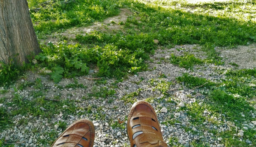 the feet of someone wearing brown shoes near a tree