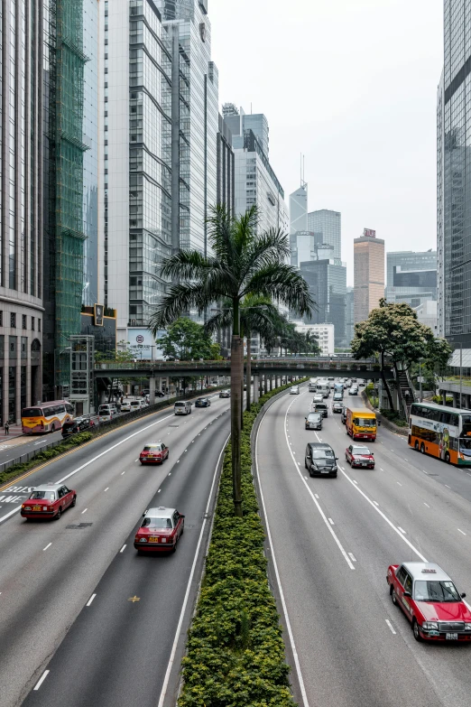 cars travel down a highway near the city buildings