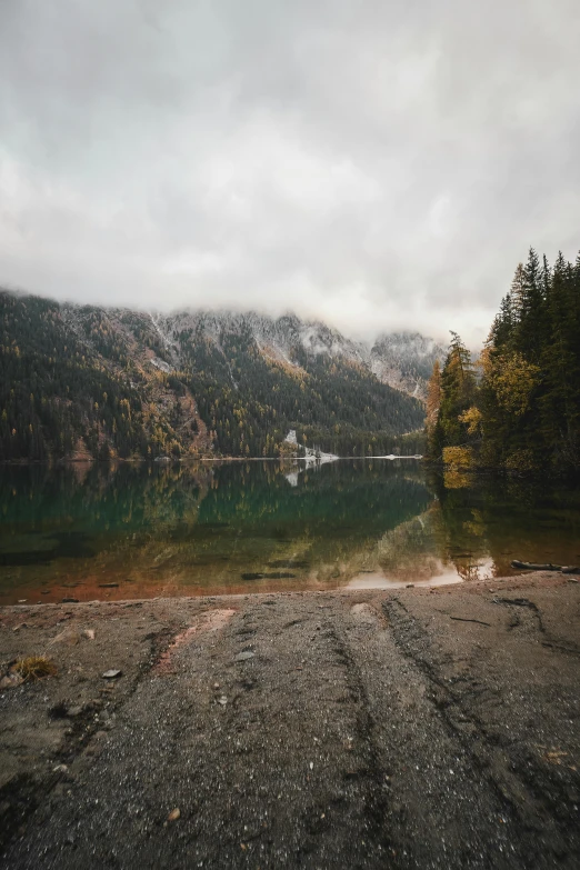 a picture of a landscape in the foggy day