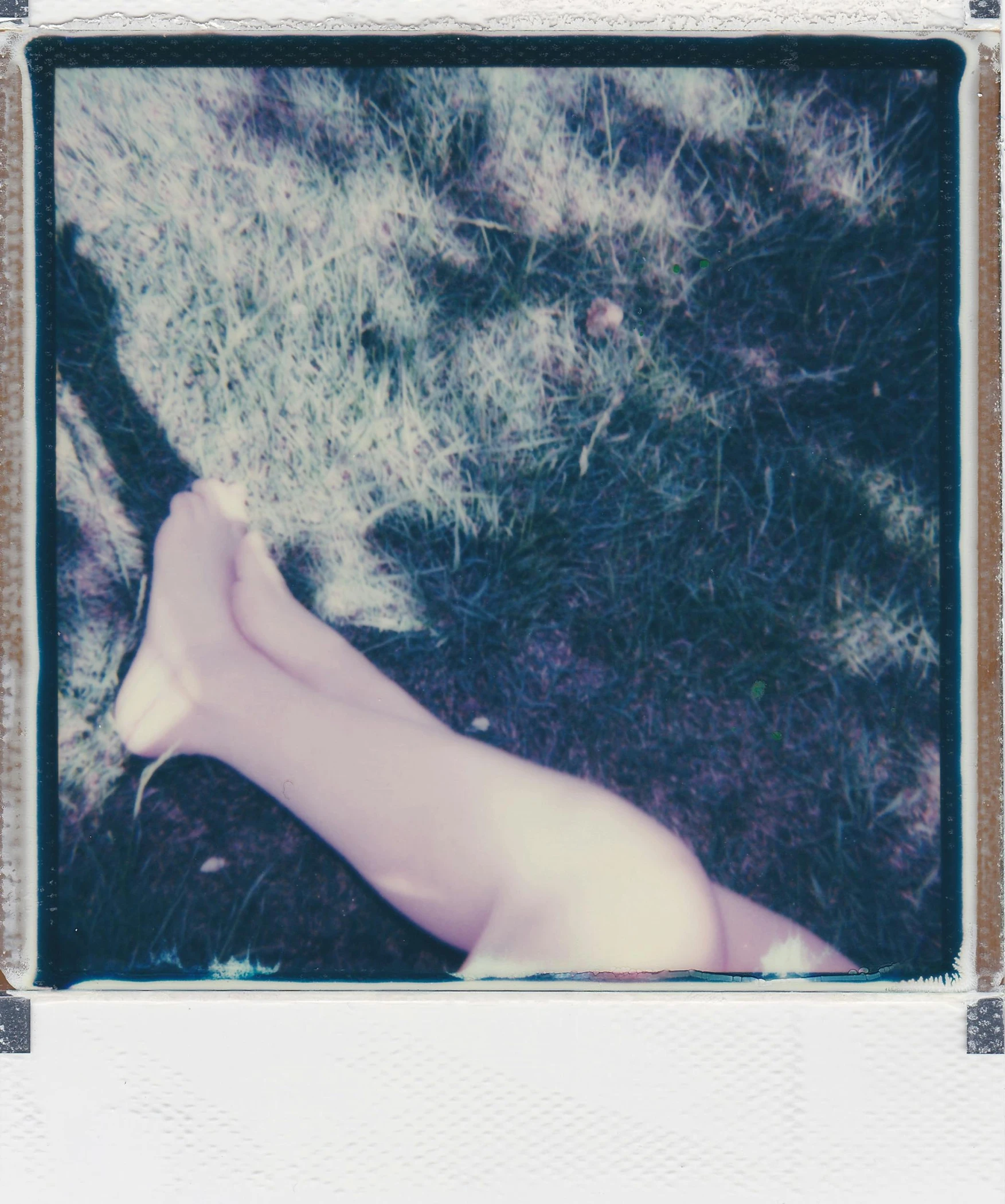 the top view of a  woman lying on the grass