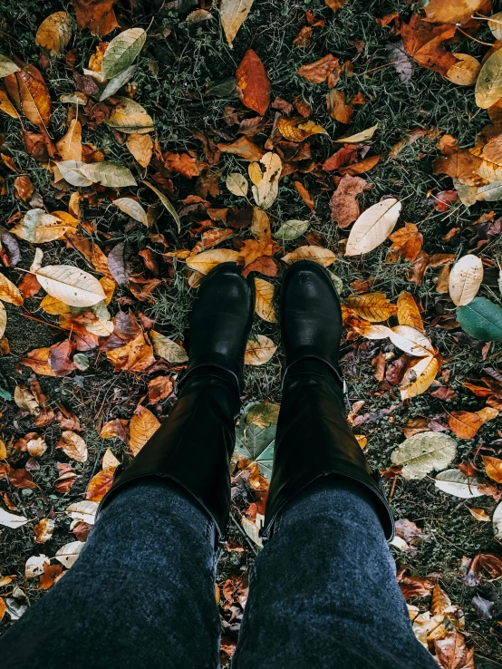 a person standing in front of a leaf covered sidewalk