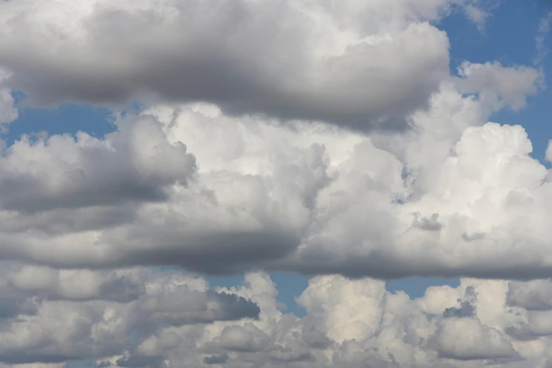 a group of birds flying through a cloudy sky