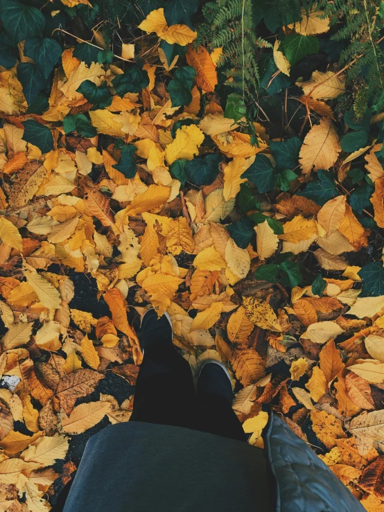 the person's feet are covered by leaves