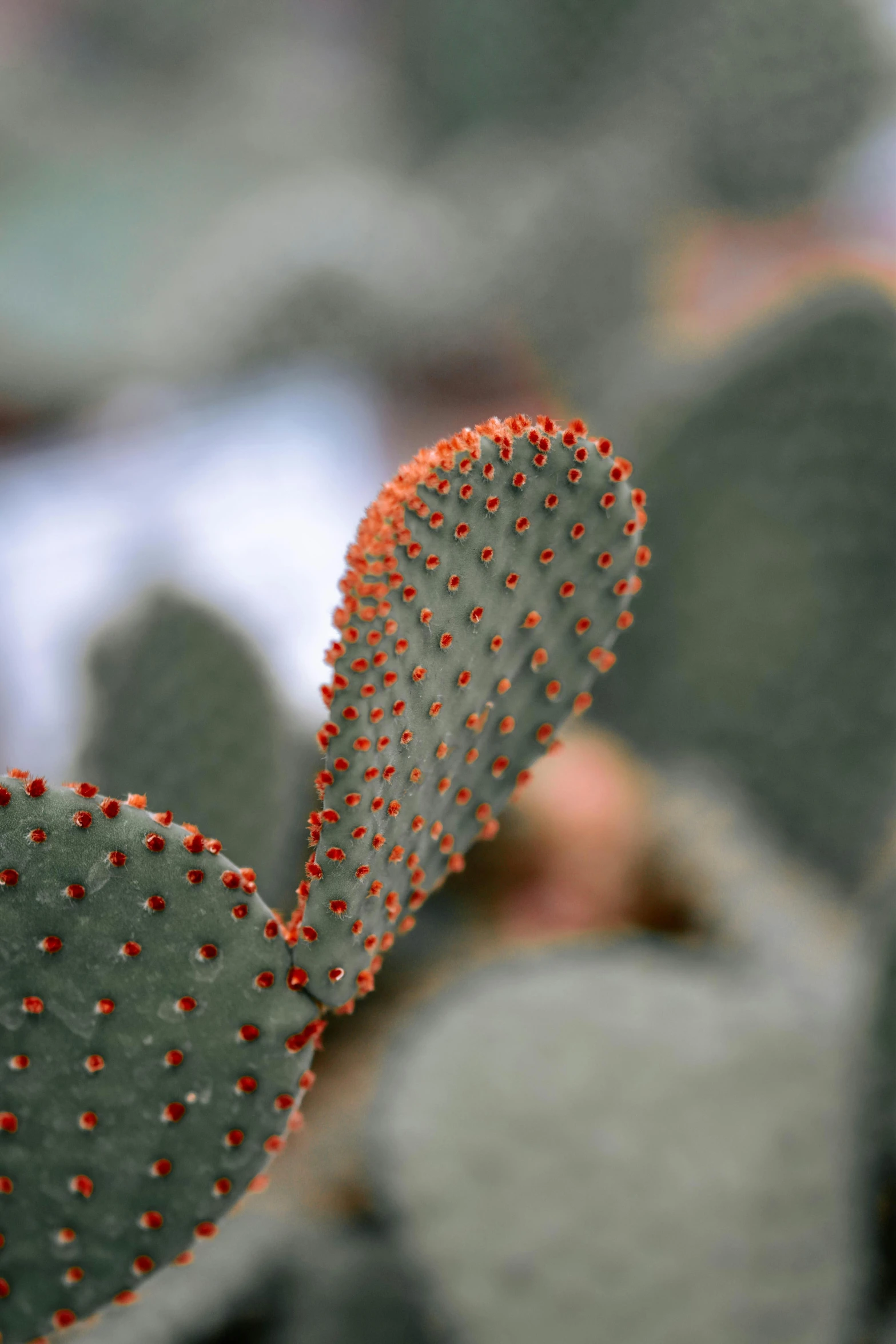 this is an extreme closeup s of the stems