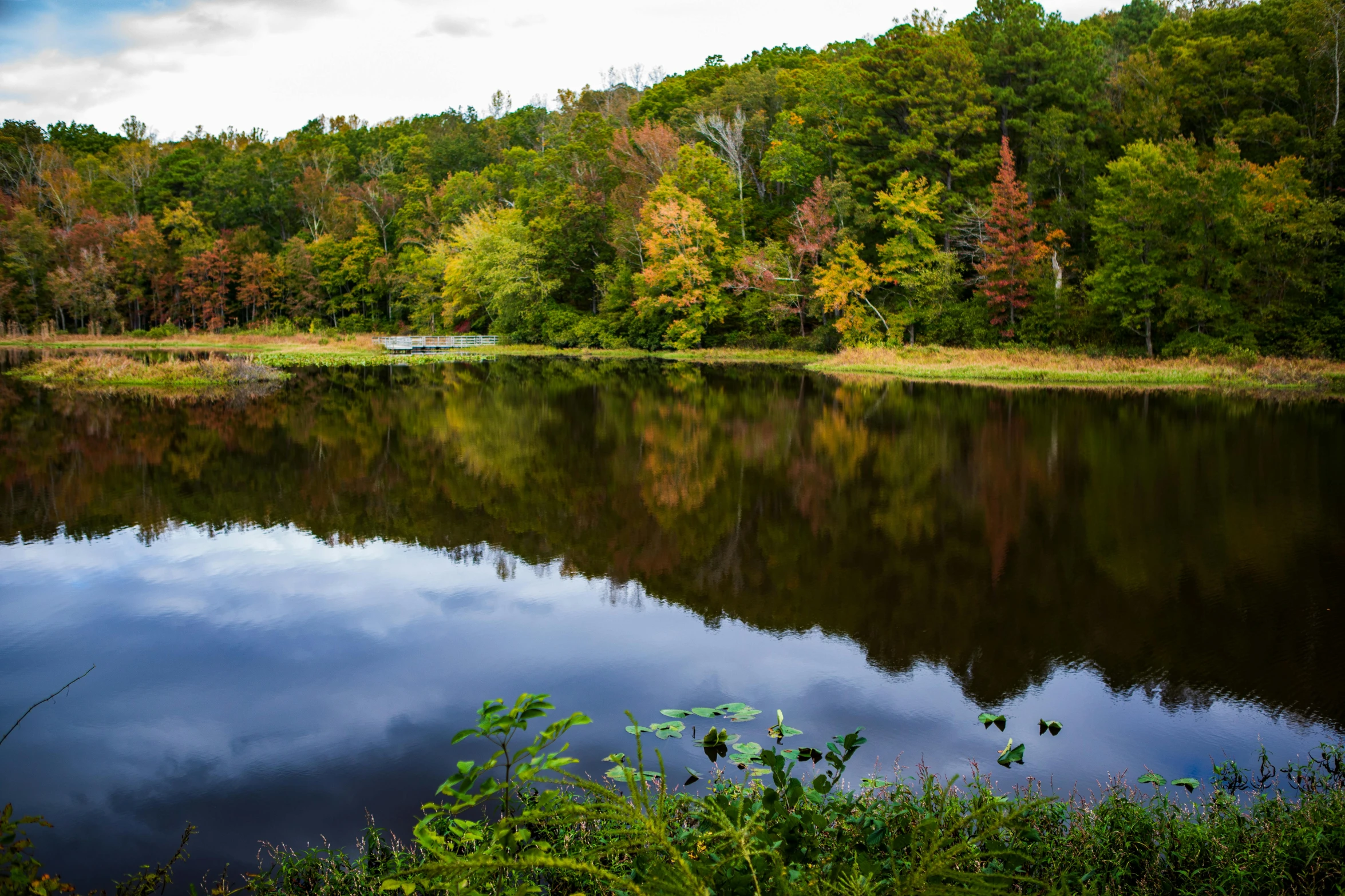 a view of the reflection of trees in the water