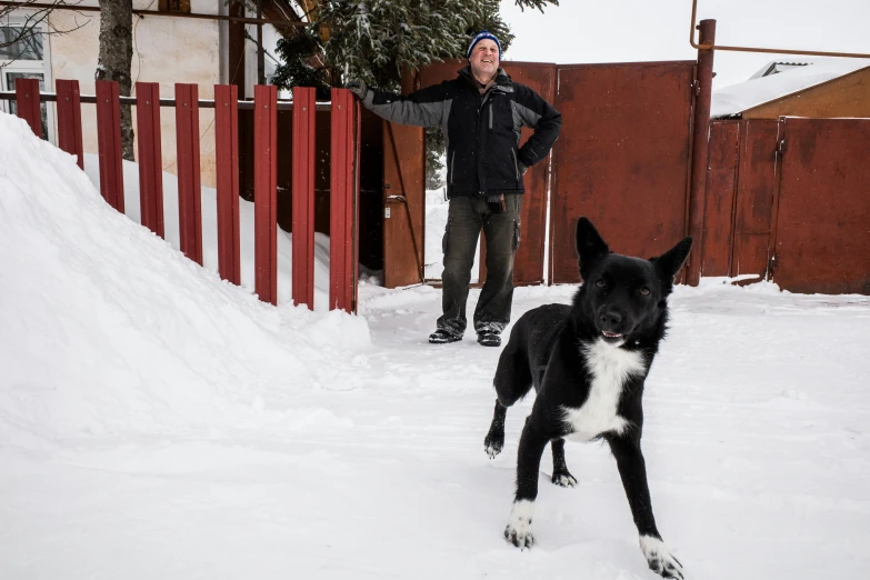 man standing in snow with dog on winter day