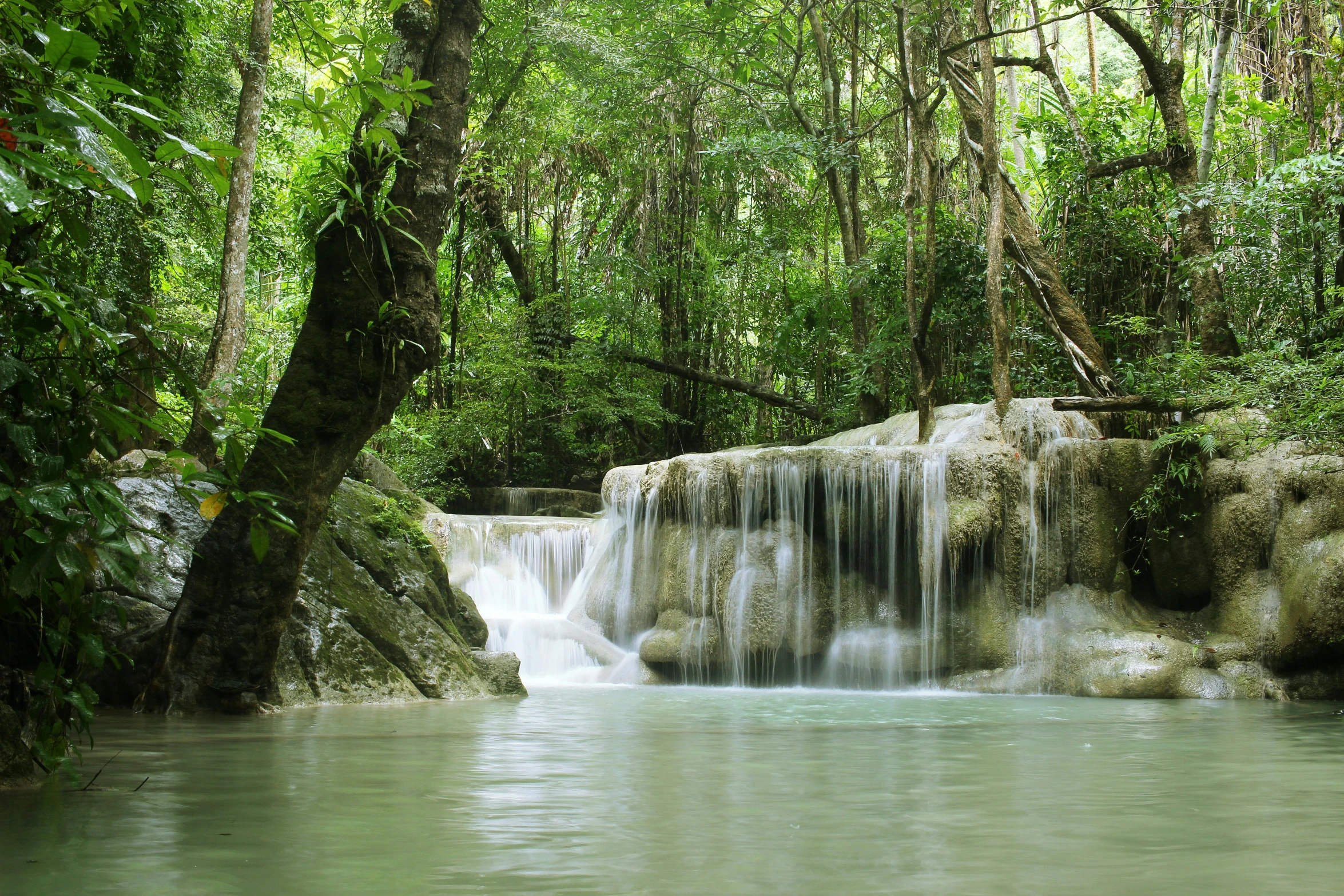 a waterfall is seen in the midst of lush green trees