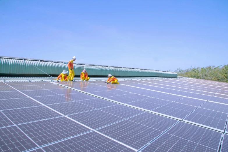 workers are doing some maintenance on the solar panels