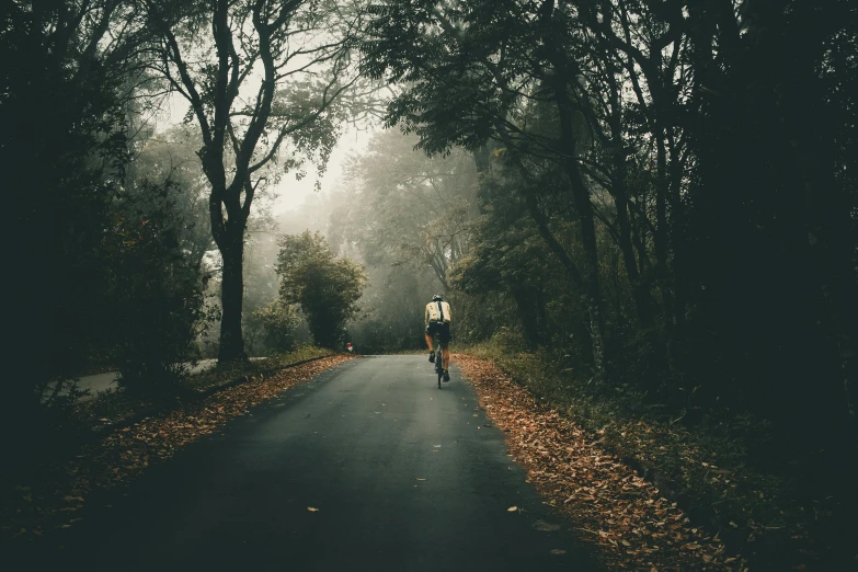 a person is riding a bicycle down a quiet street