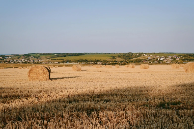 hay bales on a field with houses in the distance