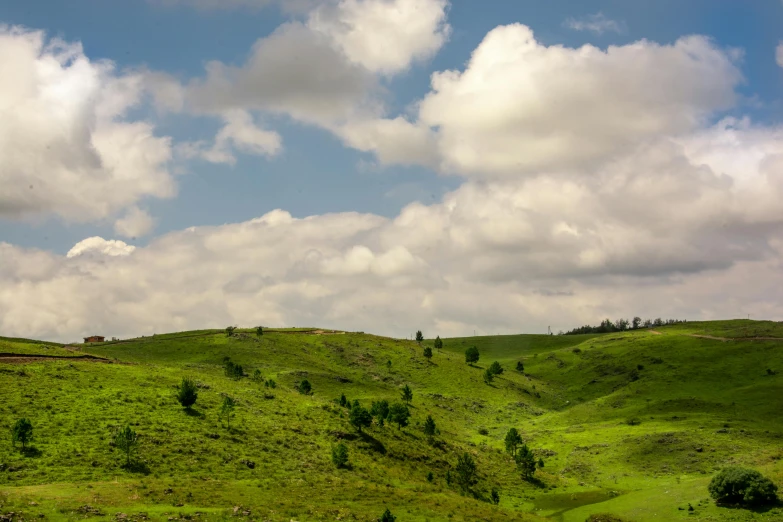 a lush green hills with trees on top