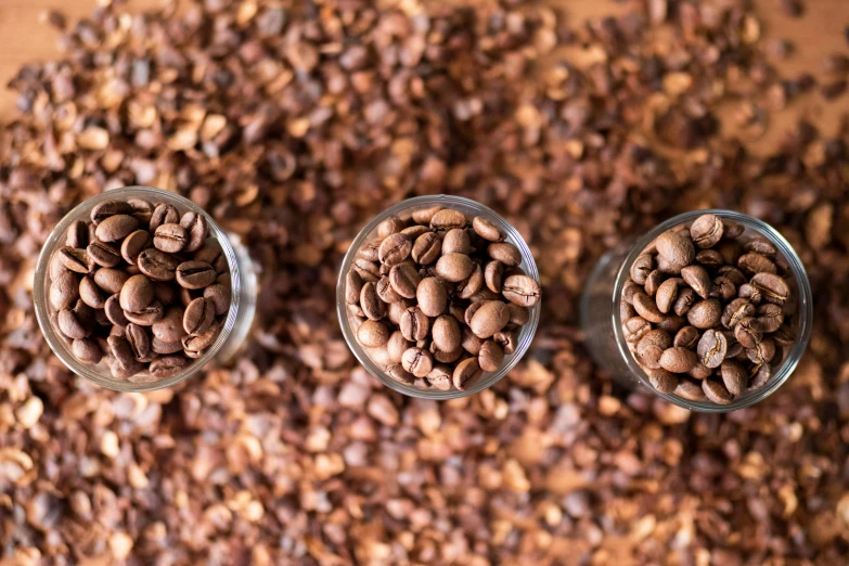 three glass cups filled with coffee beans on top of a brown counter