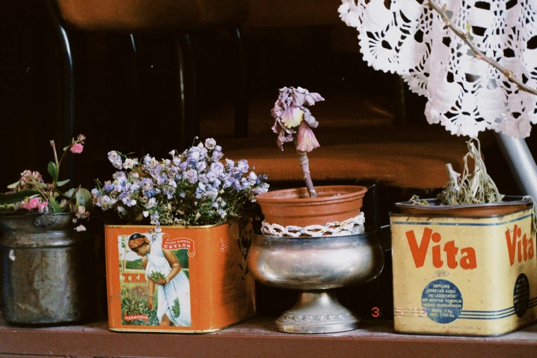 several pots on a shelf with flowers in them