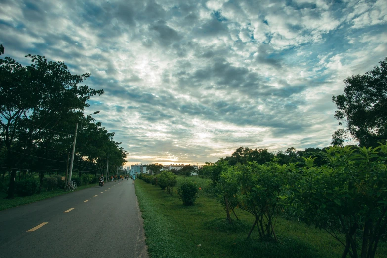 a road is shown with green trees on the side