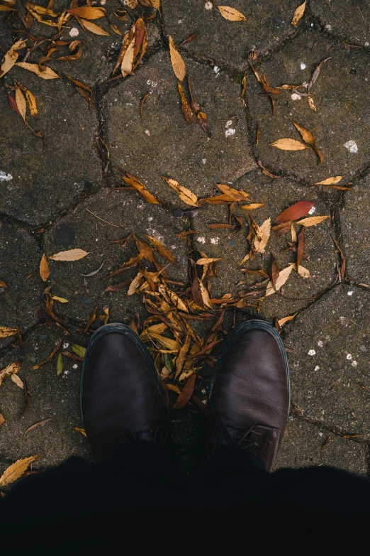 the top view of a person standing in front of leaves
