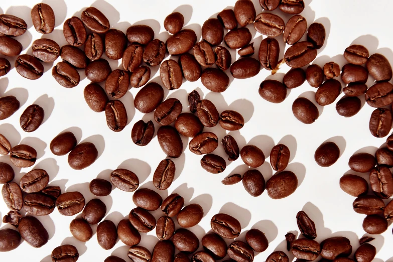 many roasted coffee beans are scattered over a white background