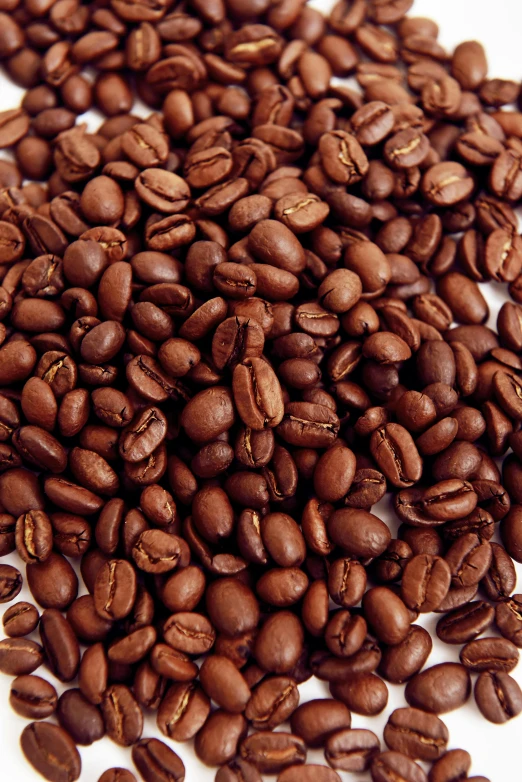 a pile of coffee beans in a white bowl