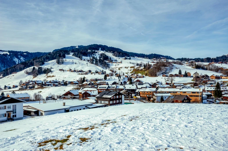 a town under snow covered mountains with trees