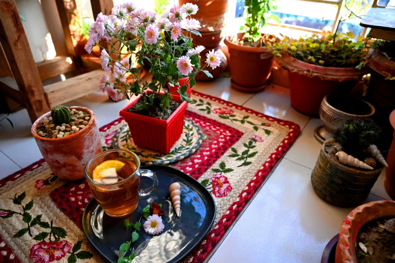 flower pots are shown with a small glass bowl