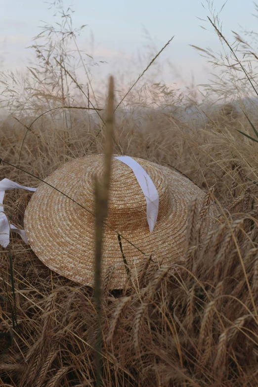 a straw hat rests in tall dry grass