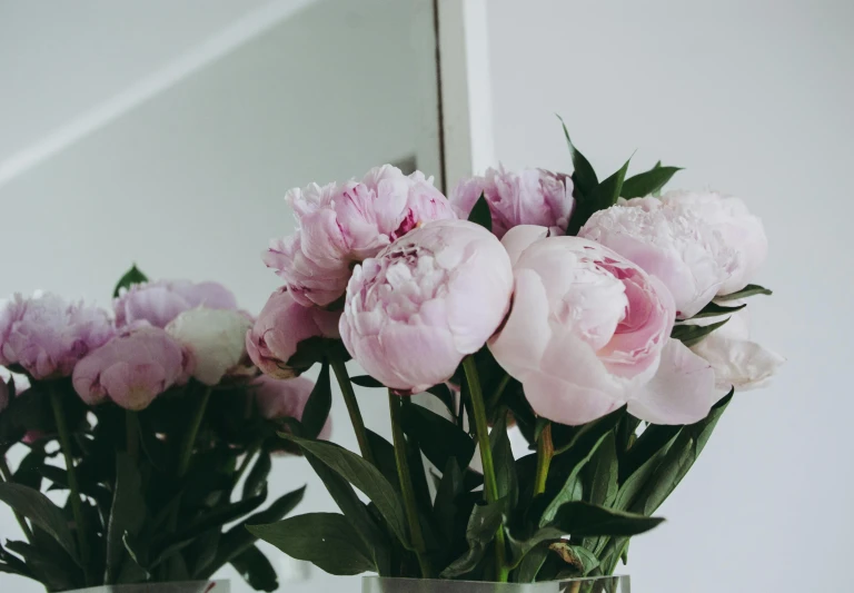 four different pink and white flowers in a vase