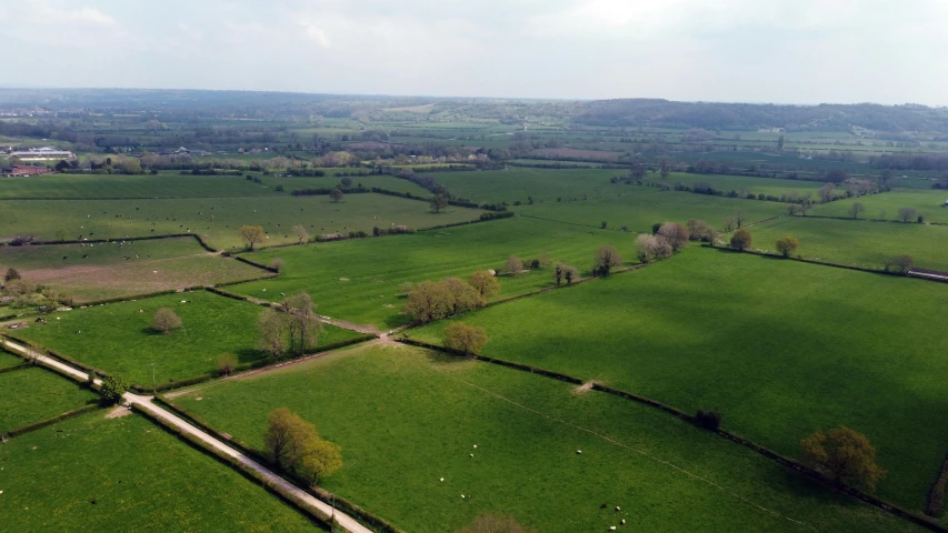 a aerial view of a green grassy area with many trees and other farmlands