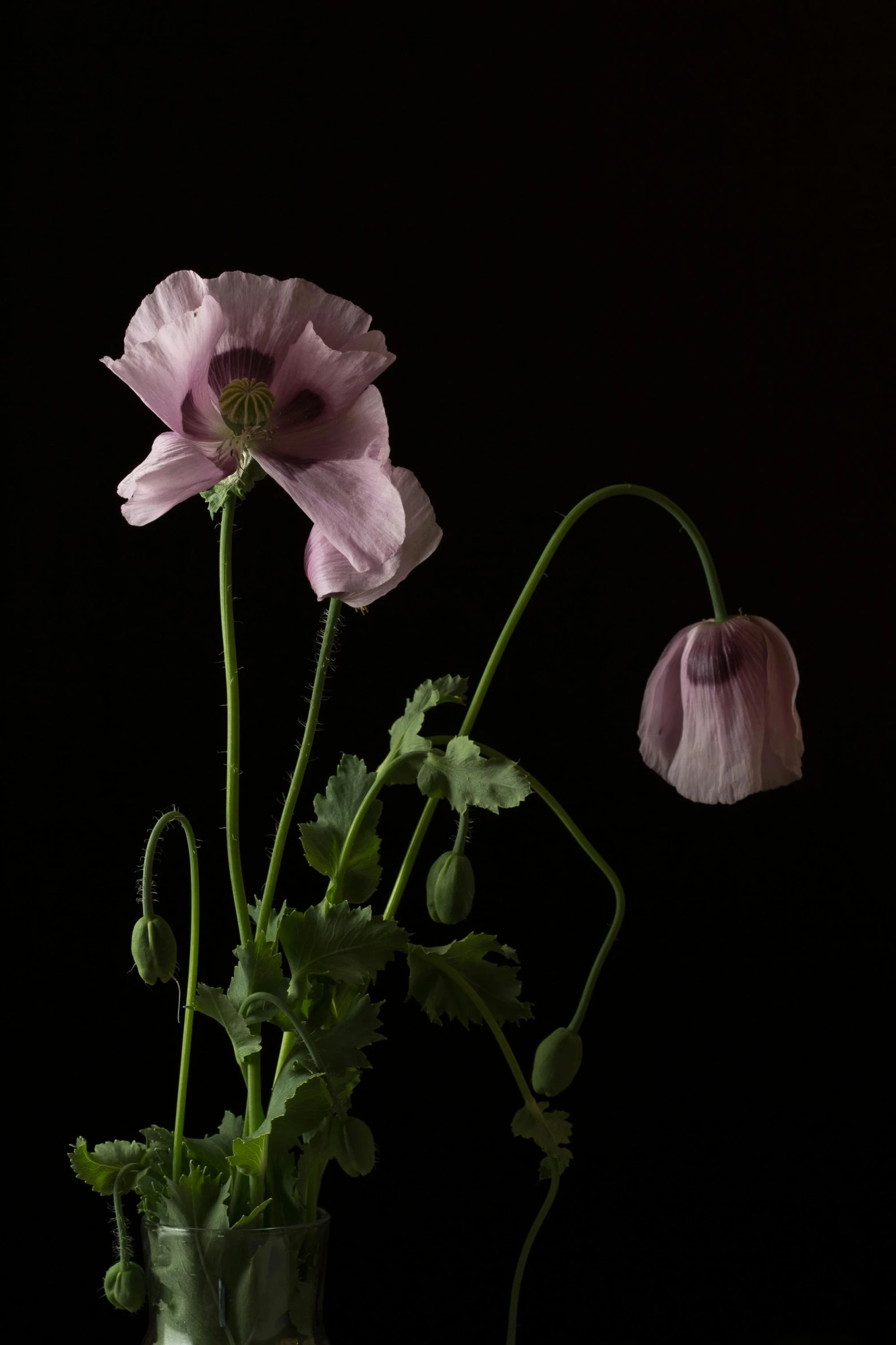 a vase with some flowers inside it on a table