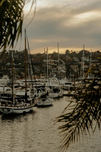 many boats are anchored in the harbor at dusk
