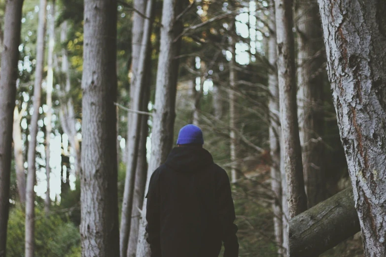 the man stands alone between a pine tree and another tall tree