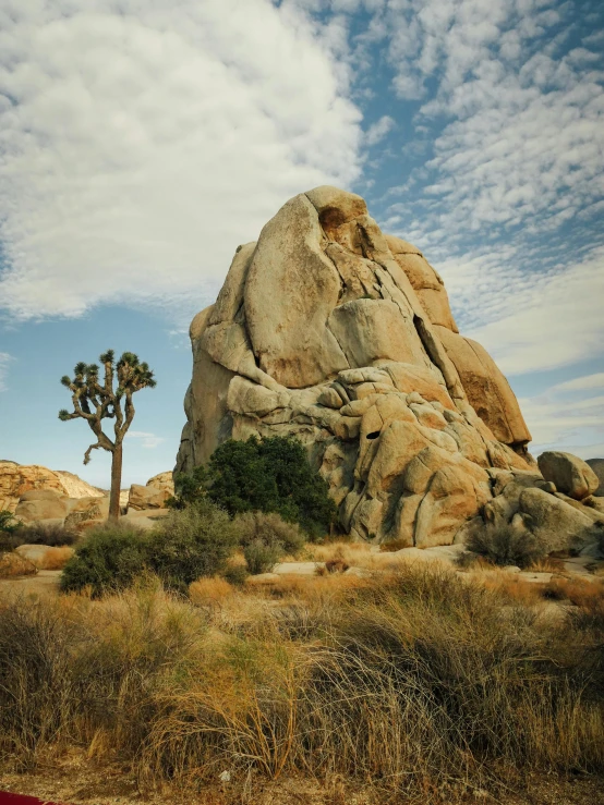 a rock formation near a small desert with a tree