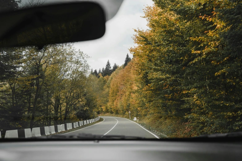 the view out the windshield is shown of autumn foliage