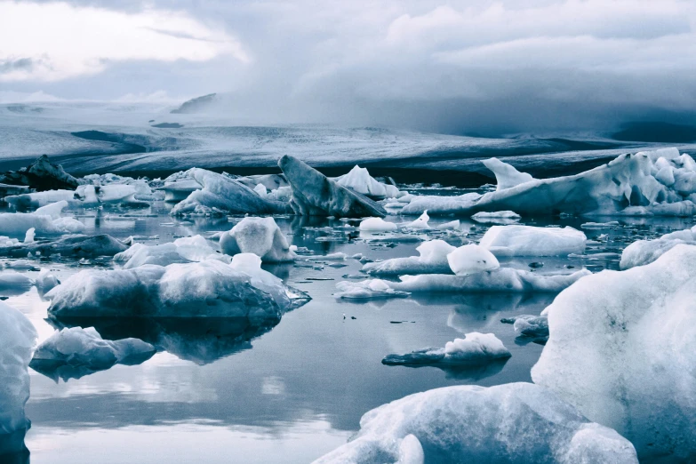 the water is covered in ice in this cold landscape