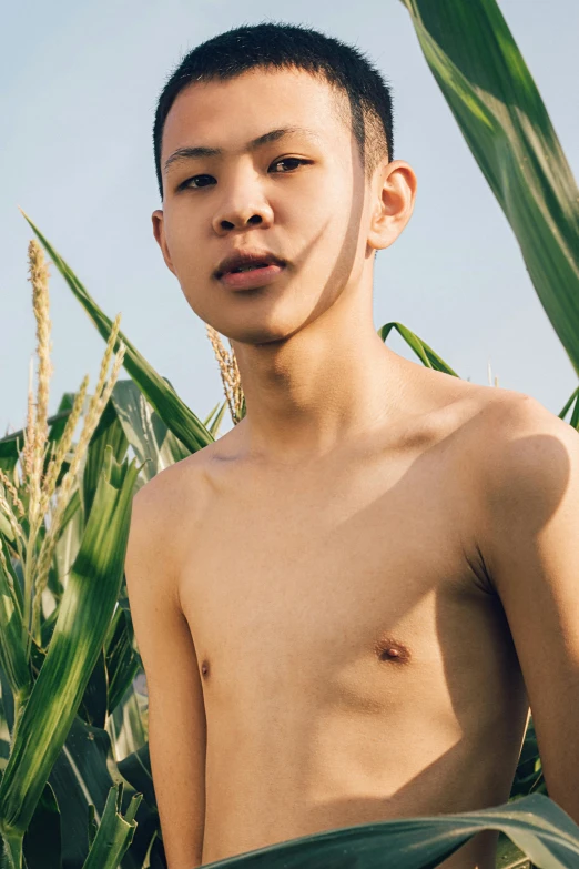 an asian man is standing in front of some crops