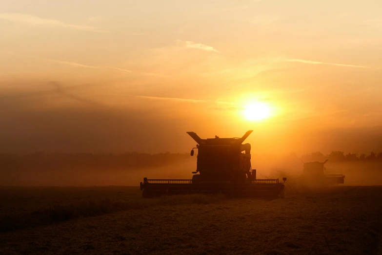 people are silhouetted against the setting sun in a grassy area