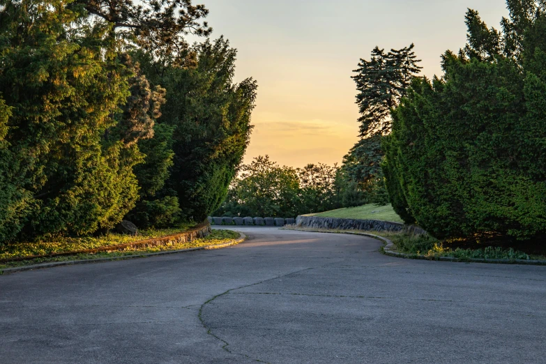 a paved street with a road curves between the trees