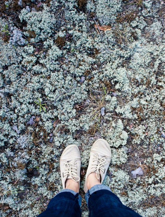 a person standing near grass wearing white shoes