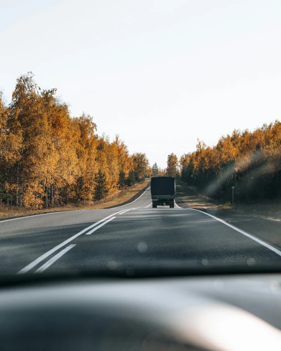 cars travel along the road through the trees