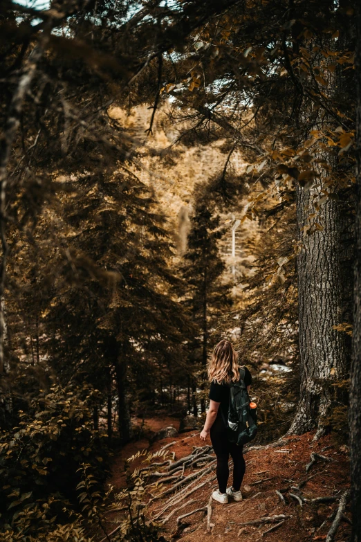 there is a girl standing on the edge of a path surrounded by trees