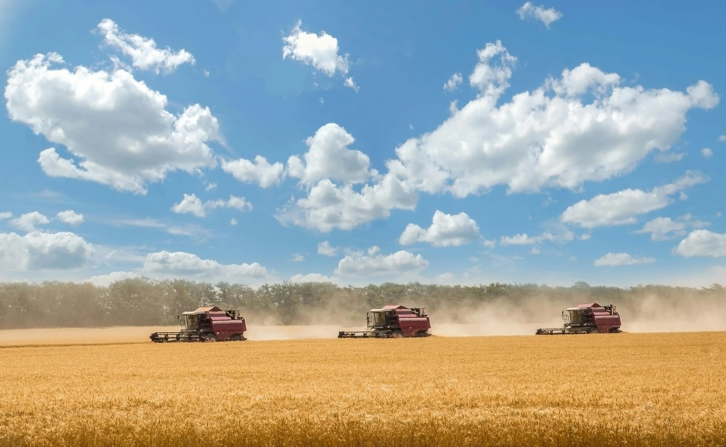 three farm machinery in an open wheat field