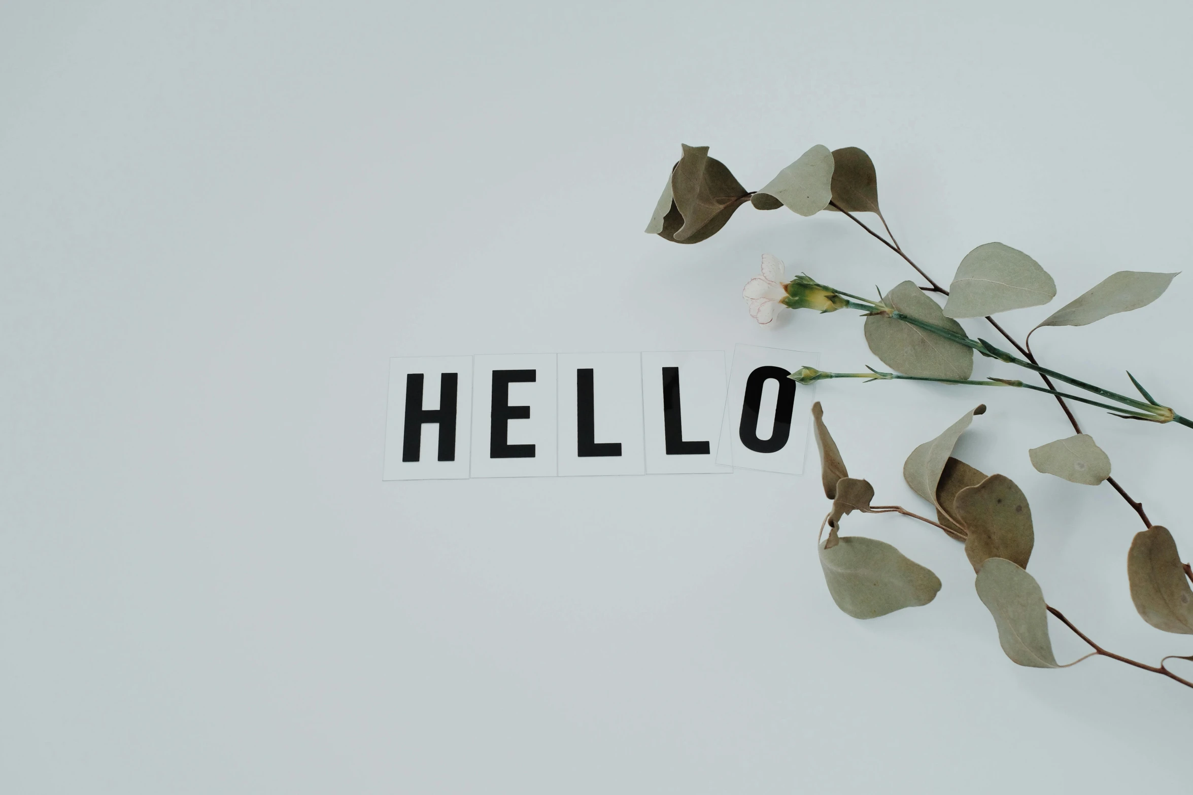 a flower with leaves growing on top of a block that reads hello