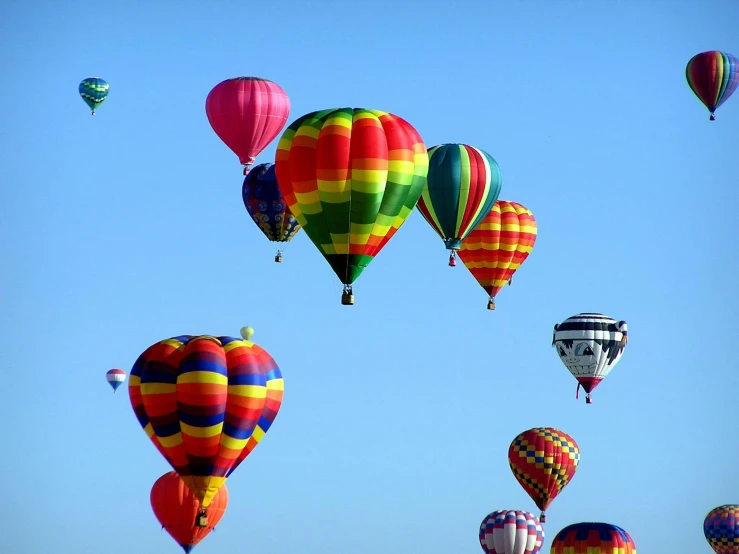 a number of  air balloons flying in the sky