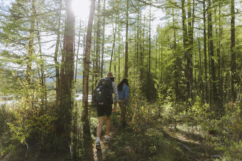 a couple of people that are walking through some trees