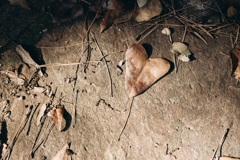 two hearts sitting on the ground in dirt