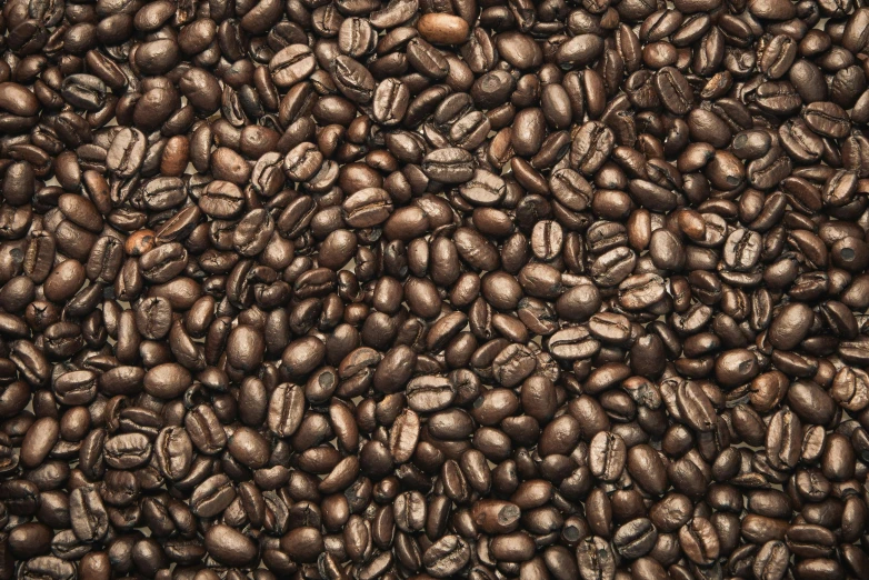a large pile of coffee beans spread across