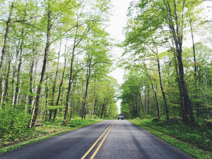 a van is traveling down a deserted tree lined road