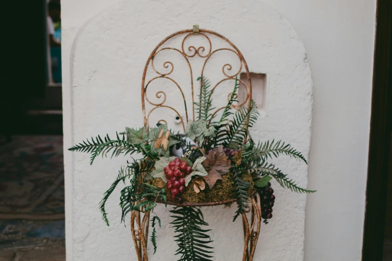 a potted plant is placed on top of a wall